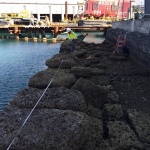 Mapping a historic pier, Honolulu