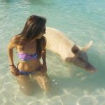 Swimming with pigs, Big Major Cay, Bahamas