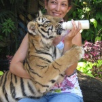 Feeding a tiger cub, Bangkok, Thailand