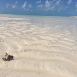 Exuma Land and Sea Park, Bahamas