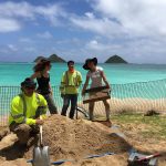 Excavating in Lanikai, O'ahu